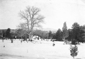 Wetherbee’s Pasture in 1918