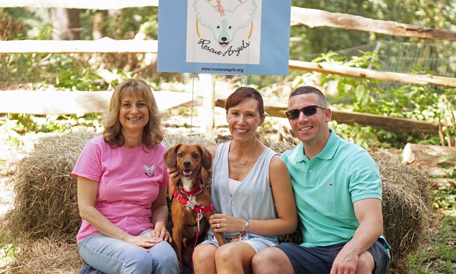 Adoption Angels - Recent Newborn Adoptions | Angel Adoption | Page 37 / The adoption fee of a dog from angels with me ranges between $150.00 to $300.00 (locally), and if adopter no longer wants or cannot keep the dog, adopter must return the dog to angels with me.